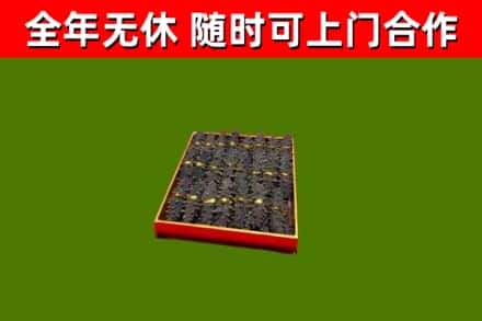通山回收海参